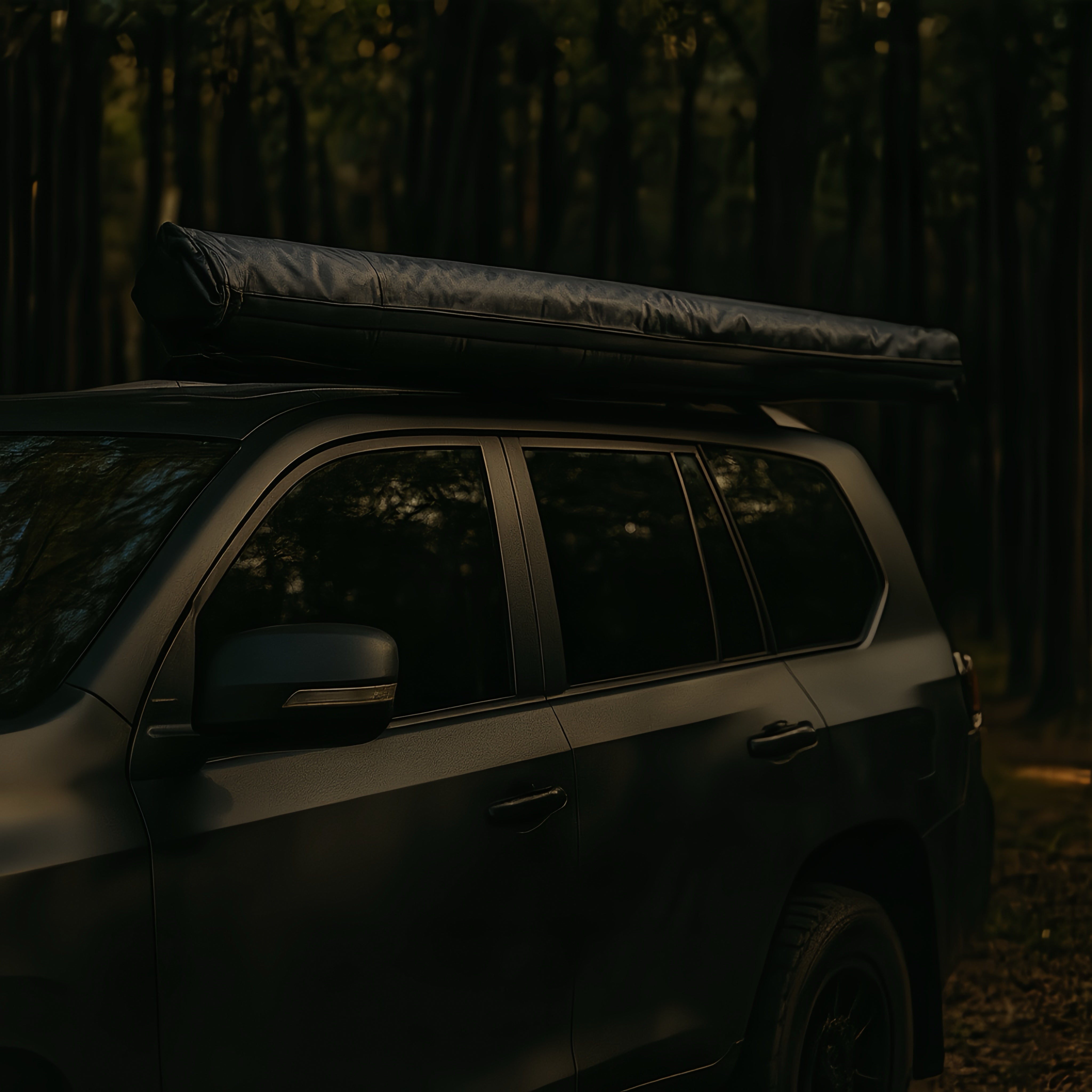 Willkon 270° Freestanding Wide Shade Vehicle Awning